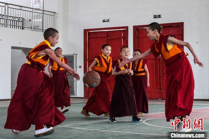 3月23日，记者走进位于拉萨的西藏佛学院，探访宗教学府的新学期。图为体育课上，少年活佛在打篮球。<a target='_blank' href='http://www.chinanews.com/'></p><p  align=