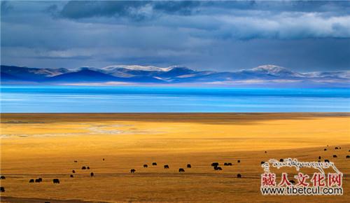玛旁雍错也是西藏的圣湖之一吗？