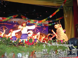 中央民大举行2006年藏历新年大型文艺晚会
