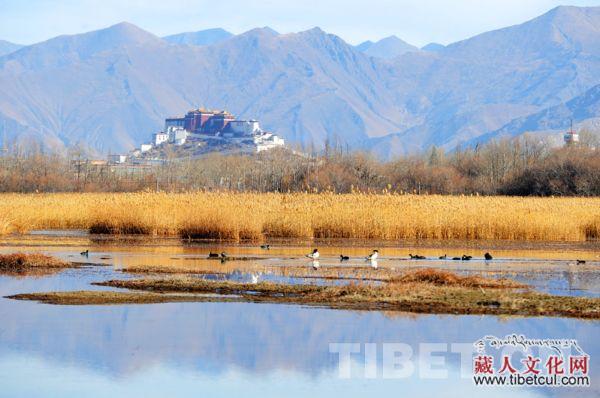 第二次湿地资源调查情况摸清西藏全区湿地“家底”