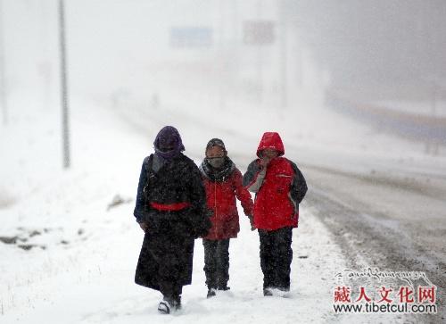 甘肃甘南藏族自治州降下今春第一场大雪 有利缓解当地旱情