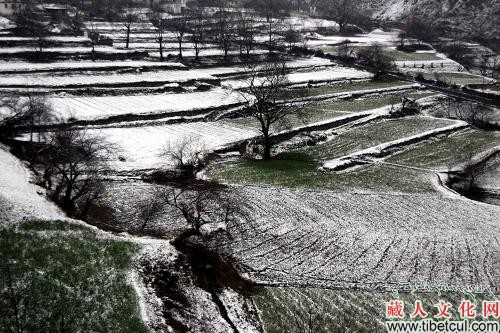 云南迪庆人工降雪初步缓解旱情