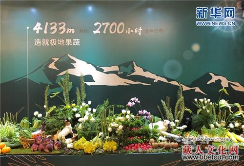 四川甘孜州：“极地果蔬”助力理塘走出高山