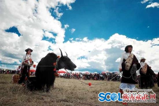 14.7万人次观看 海拔最高音乐节揽金1.52亿