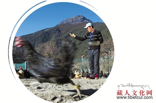 美好生活"织"出来 西藏发展特色优势产业发力