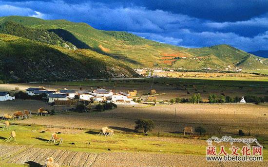 西藏日喀则白朗县蔬果栽培获收益