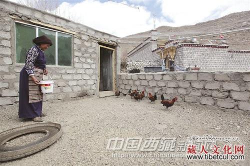 西藏自治区拉萨尼木县利用当地资源增加群众收入