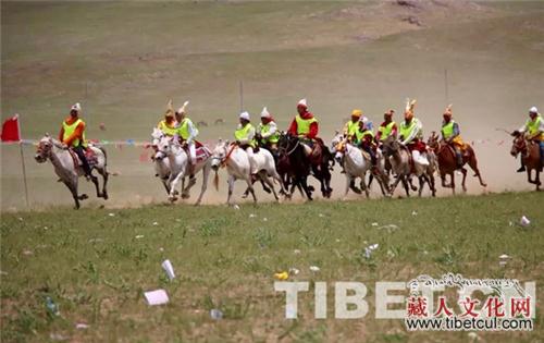 西藏申扎：七月纵马展现民族特色 助推脱贫攻坚