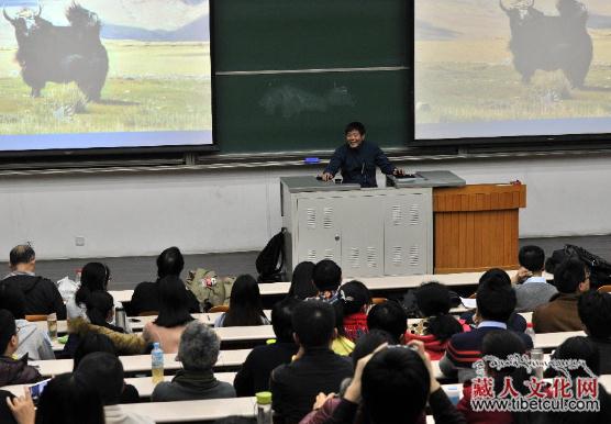 牦牛走进博物馆：牦牛博物馆馆长吴雨初在北大讲座