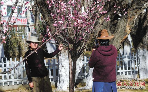 拉萨赏春：春天，从宗角禄康开始