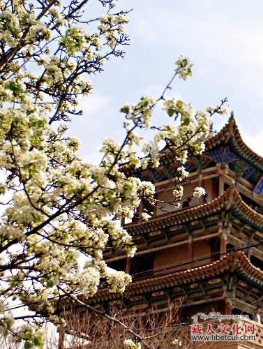 第六届青海·贵德黄河文化旅游节将于4月17日开幕