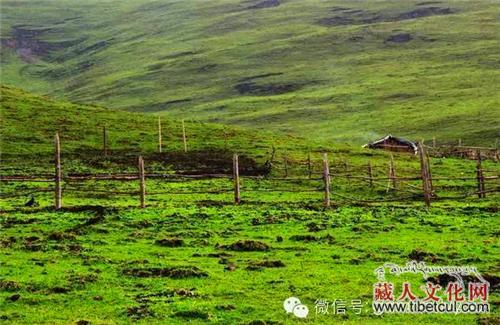 甘肃卓尼：因庄严神圣寺院而命名的美丽“恰盖”