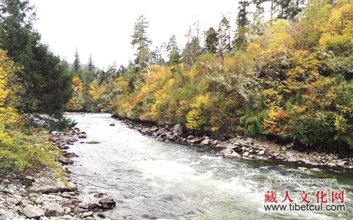 “雪域江南”美景看林芝 林芝美景看米林