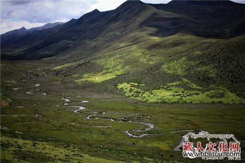 四川甘孜“木雅圣地”：花海与旱獭的乐园