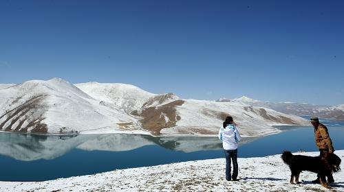 拉萨喜降瑞雪 迷人春雪游人醉