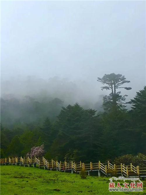 2018西藏仓央嘉措诗歌文化旅游节即将在错那县开幕
