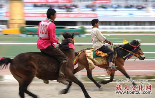 香格里拉赛马节6月16日开幕 山歌王子扎西尼玛举行演唱会助阵