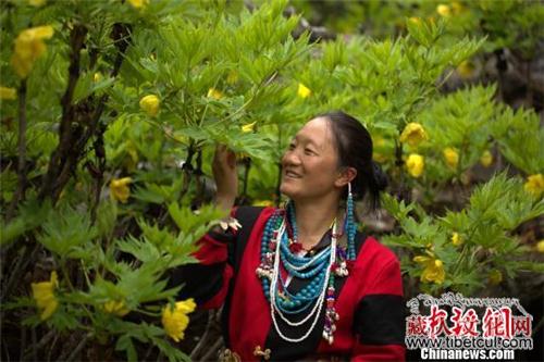 西藏“药洲”以文化旅游节促全域全时旅游发展