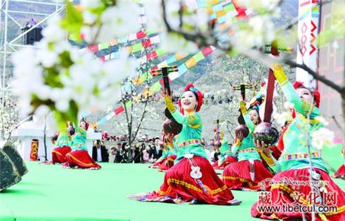 梨约有缘人 四川金川县第六届古树梨花节开幕