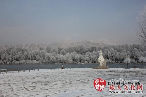 青海海南藏族自治州贵德县城出现罕见雾凇现象