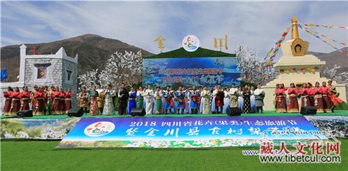 四川省金川县2018年第五届古树梨花节开幕