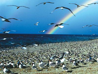 青海湖冲击世界极品景区策划方案将出台