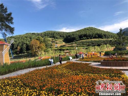 甘肃甘南生态藏寨一步一景 借“绿色宝藏”鼓腰包