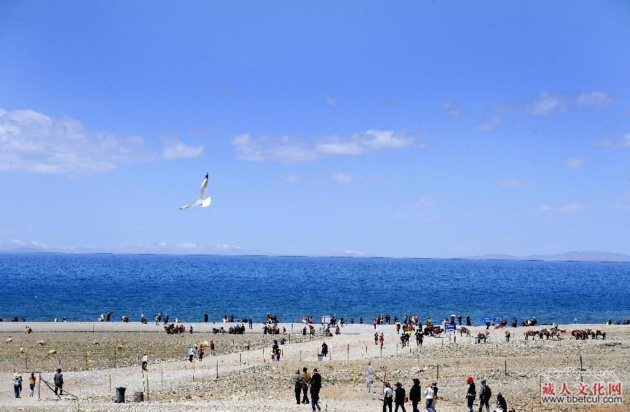 西藏当雄县境内“天湖”纳木错　近日迎来旅游旺季