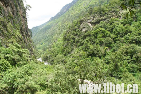 山南将投资3亿元打造勒布沟原始生态旅游景区