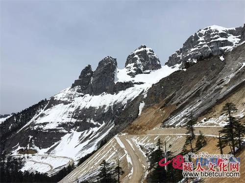 迪庆：树立扶贫典范 打造香格里拉文化旅游新名片