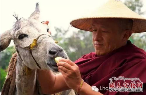 宗萨仁波切摄制不丹国民环保协会宣传片并作祈愿文