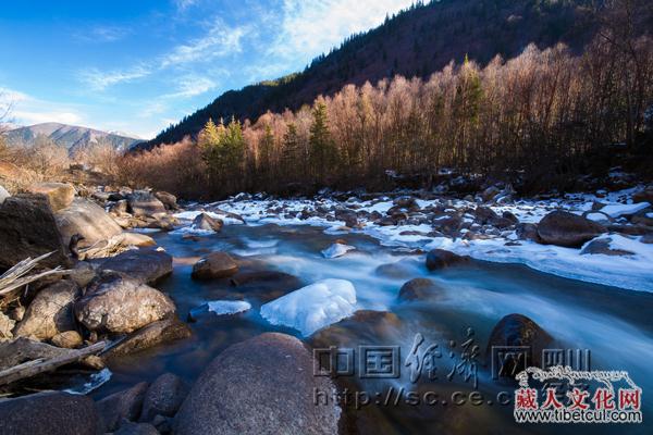 春雪晶莹百花竞放 清明节到四川达古冰川洗肺去