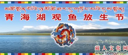 2009年青海湖观鱼节将于本月27日拉开帷幕