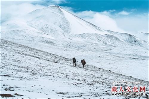 “第三极”冰川科考探究阿里地区冰川特殊变化