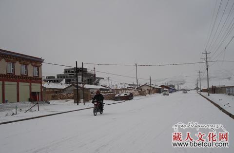 青海甘德遭遇重度雪灾：牲畜觅食艰难路面房屋普遍积雪