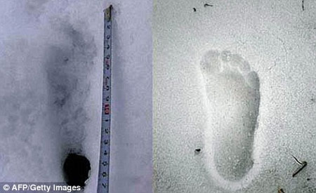 日本探险队在尼泊尔发现“雪人”脚印