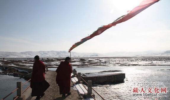 黄河上游重要水源涵养地甘南碌曲尕海湖三月里生机盎然