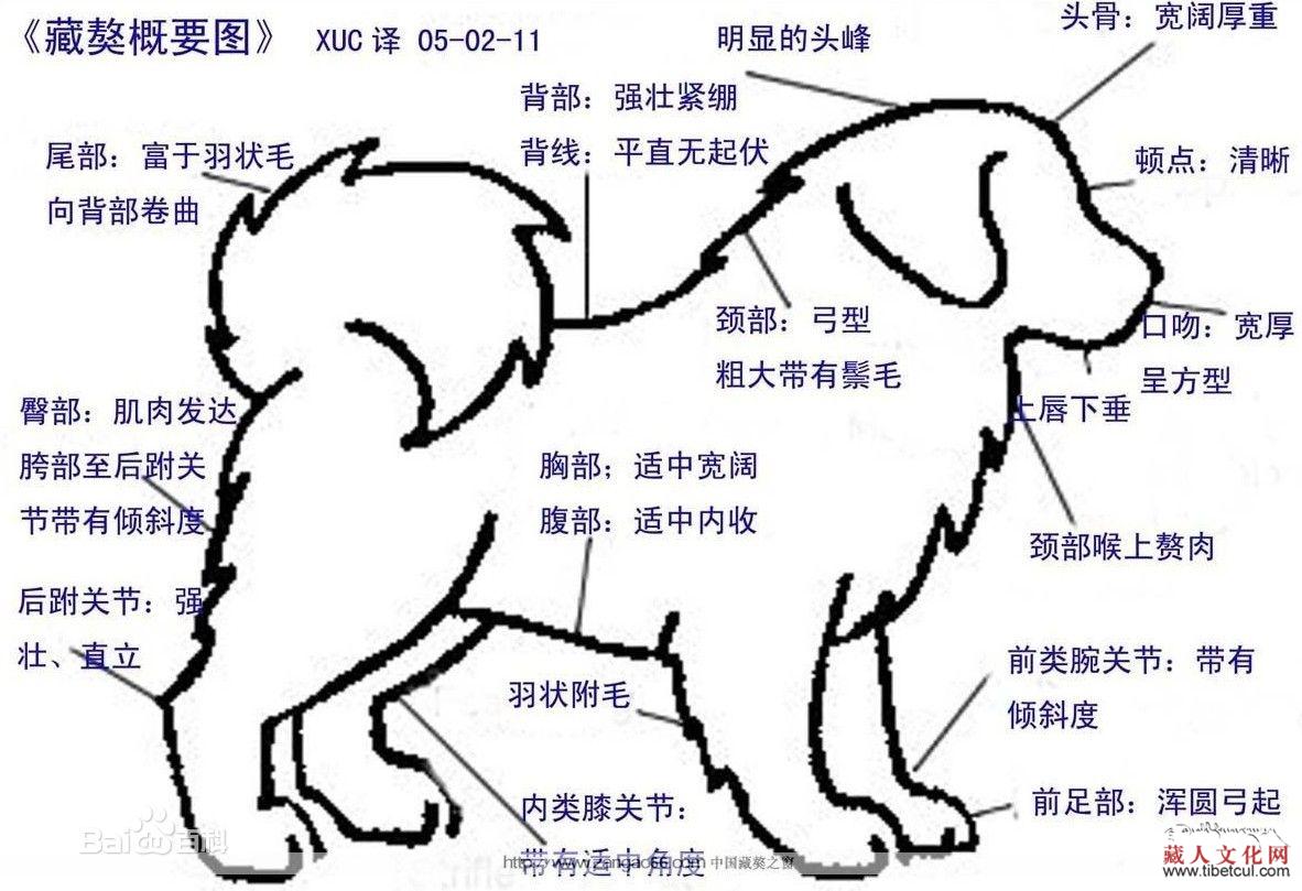 呼吁獒业“正能量”   让藏獒回归高原