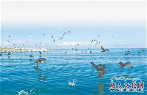 青海湖国家级自然保护区开展春季野外巡查