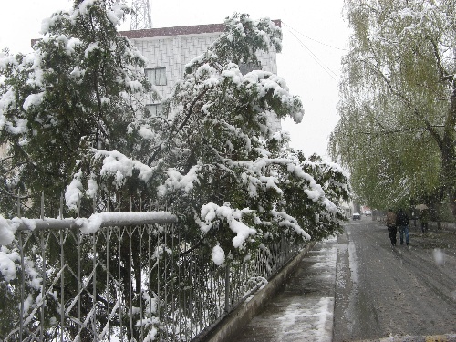 昨日雨雪光临拉萨 11日开始天气逐渐转好