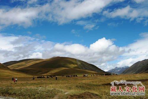 四川道孚县发生草原火灾22人遇难  火势仍未扑灭