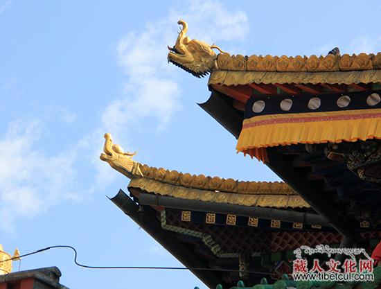 “大美青海影像三江”采风团体验香巴林卡的藏文化